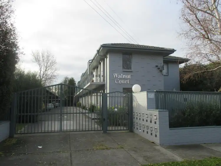 3/6 Walnut Street