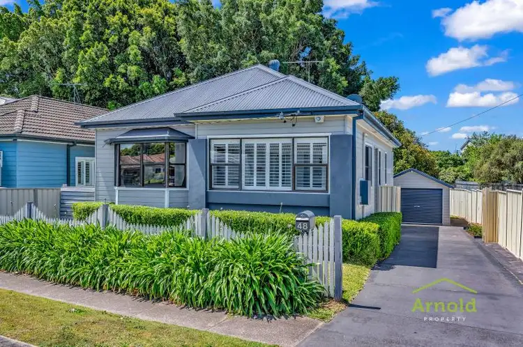 48 Scholey Street, Mayfield NSW 2304