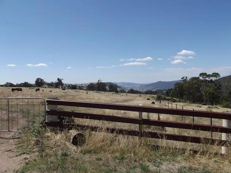 Fourth view of Homely house listing, 203-205 Stewarts Road, Batlow NSW 2730