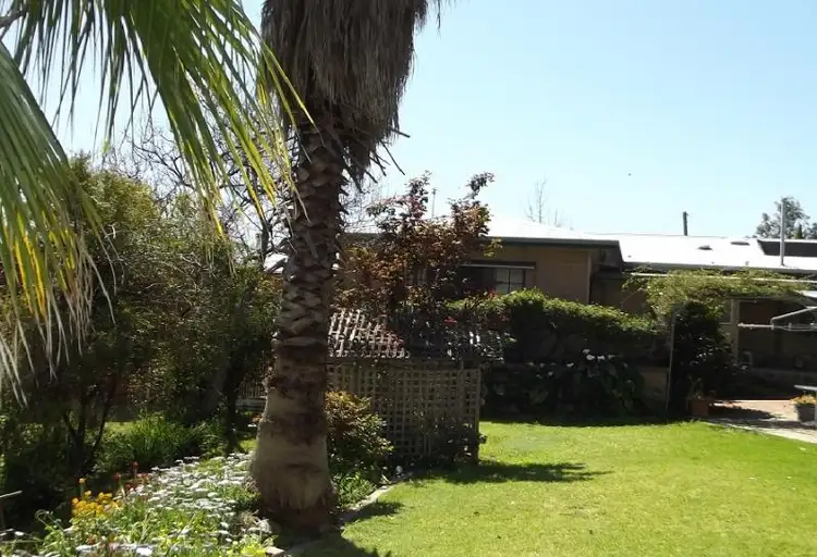 Main view of Homely house listing, 59 Dalhunty Street, Tumut NSW 2720