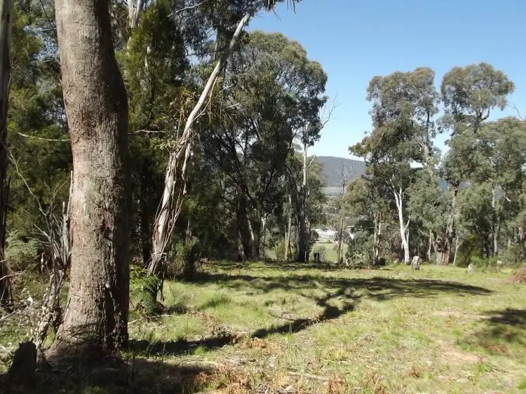 Lot 15 Batlow Road, Batlow NSW 2730