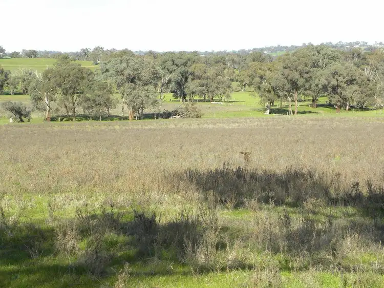 Lot 1 Forbes Lane, Young NSW 2594