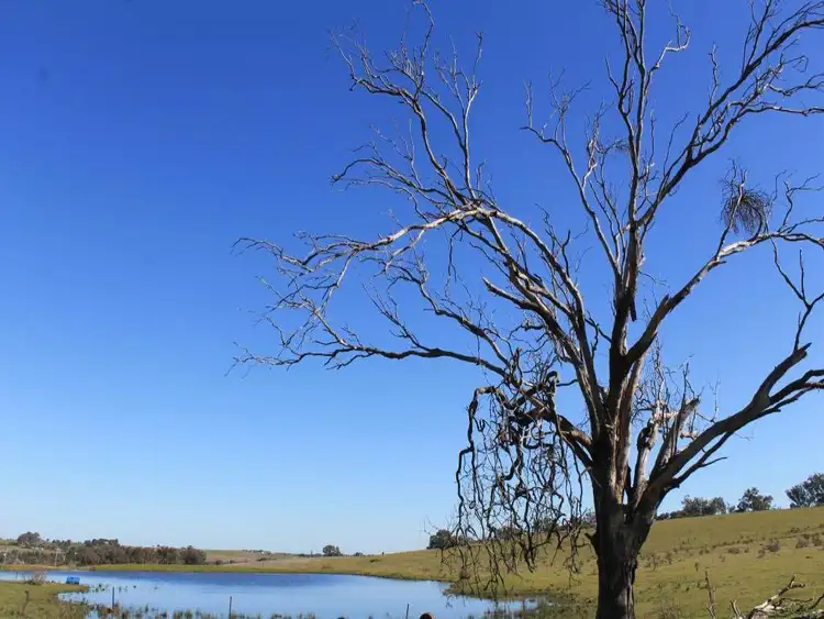 Seventh view of Homely land listing, 709 Olympic Way, Young NSW 2594