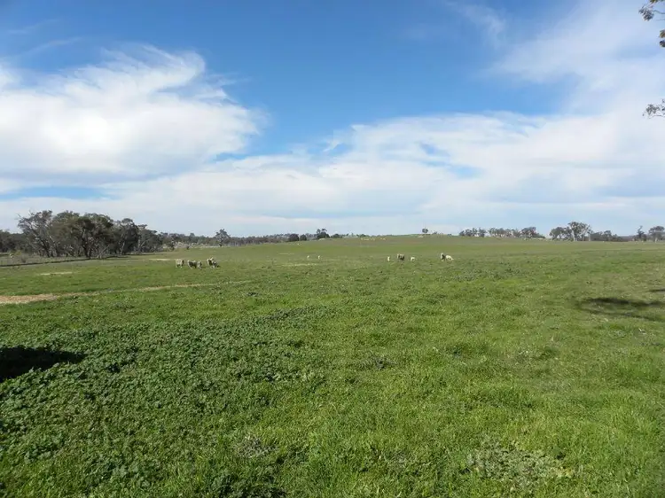 187 Milly Milly Lane, Young NSW 2594