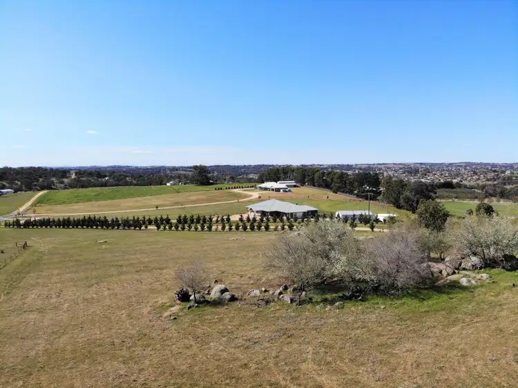 Seventh view of Homely land listing, 18 Curtis Pace, Young NSW 2594