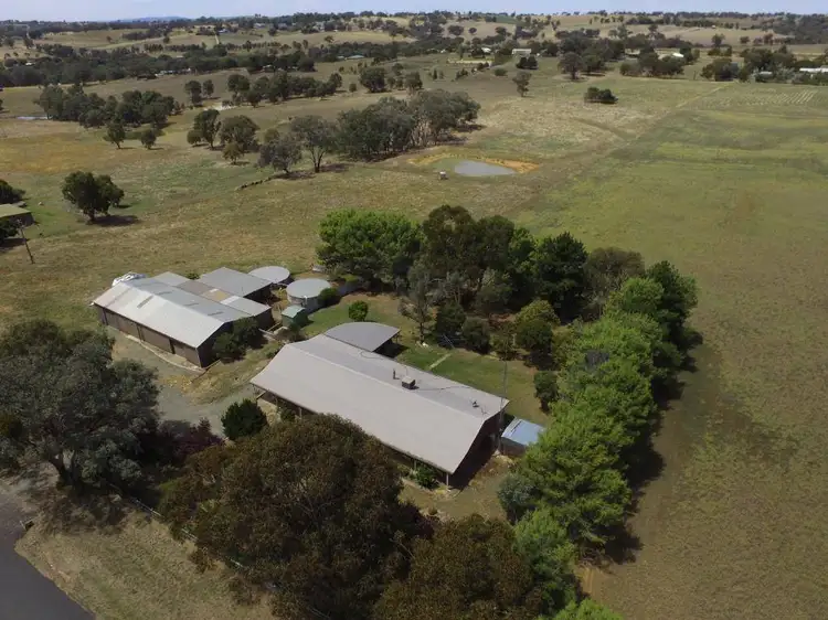 Main view of Homely rural property listing, 79 Kellys Road, Young NSW 2594