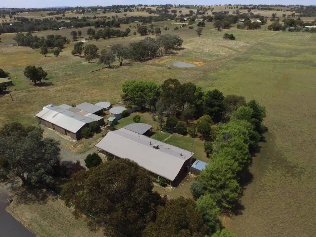 Main view of Homely rural property listing, 79 Kellys Road, Young NSW 2594