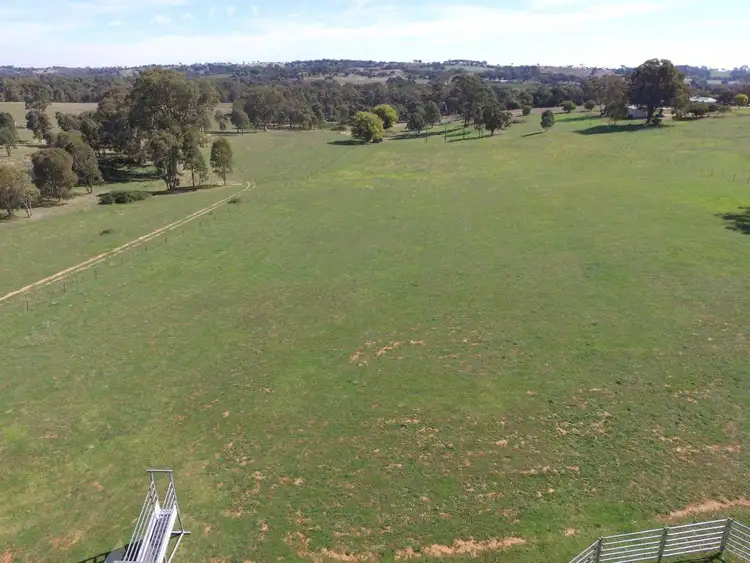 Main view of Homely land listing, 214 Back Creek Road, Young NSW 2594