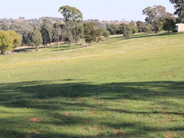Second view of Homely land listing, 214 Back Creek Road, Young NSW 2594