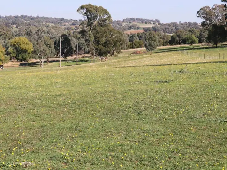 Third view of Homely land listing, 214 Back Creek Road, Young NSW 2594