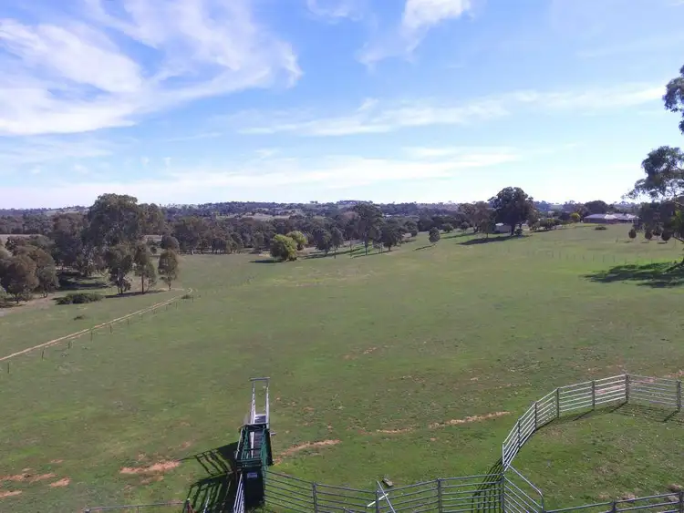 Fifth view of Homely land listing, 214 Back Creek Road, Young NSW 2594