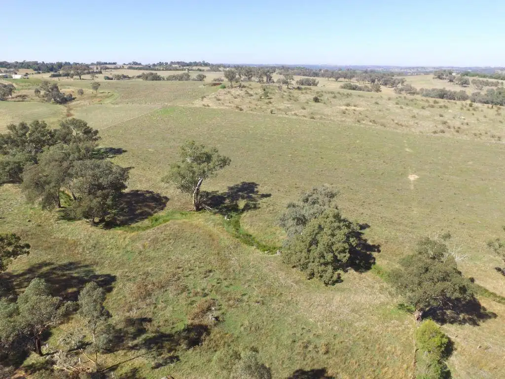 Main view of Homely land listing, Lot 6 Forbes Lane, Young NSW 2594