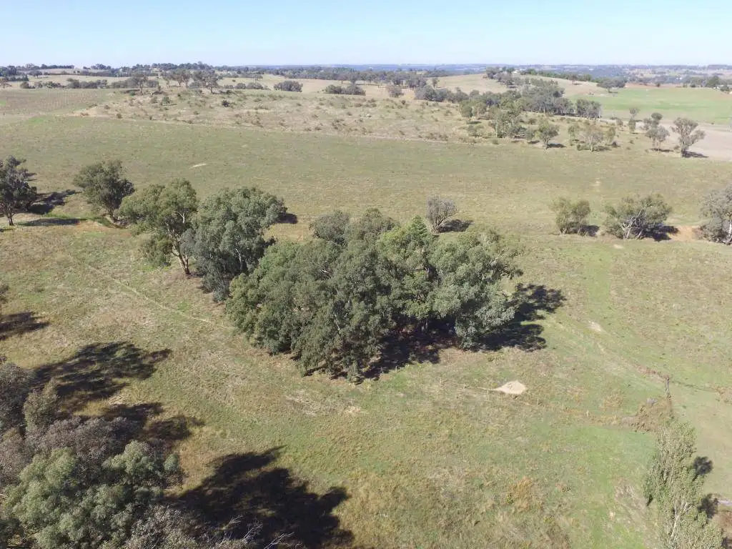 Main view of Homely land listing, Lot 5 Forbes Lane, Young NSW 2594