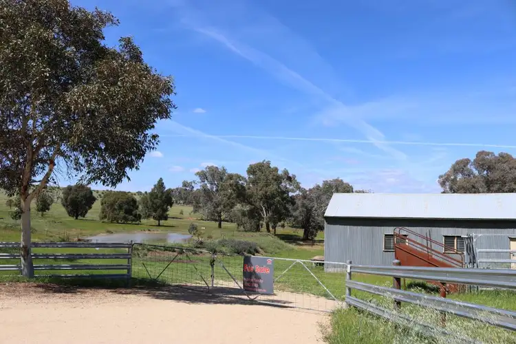 111 Forbes Lane, Young NSW 2594