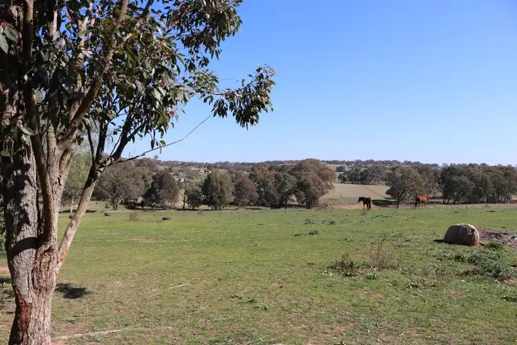 Fourth view of Homely other listing, 40 Majors Road, Young NSW 2594