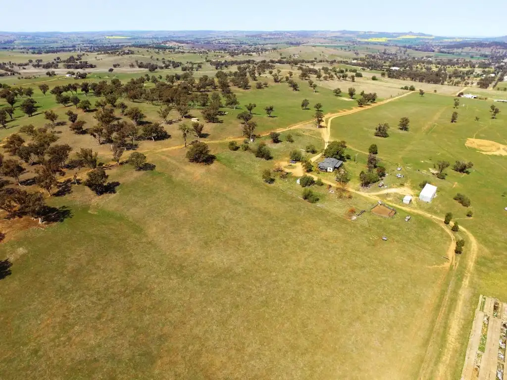 Main view of Homely other listing, 164 Cahill Road, Canowindra NSW 2804