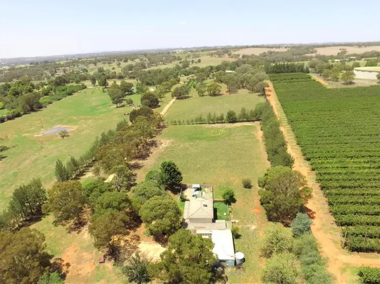 320 Back Creek Road, Young NSW 2594