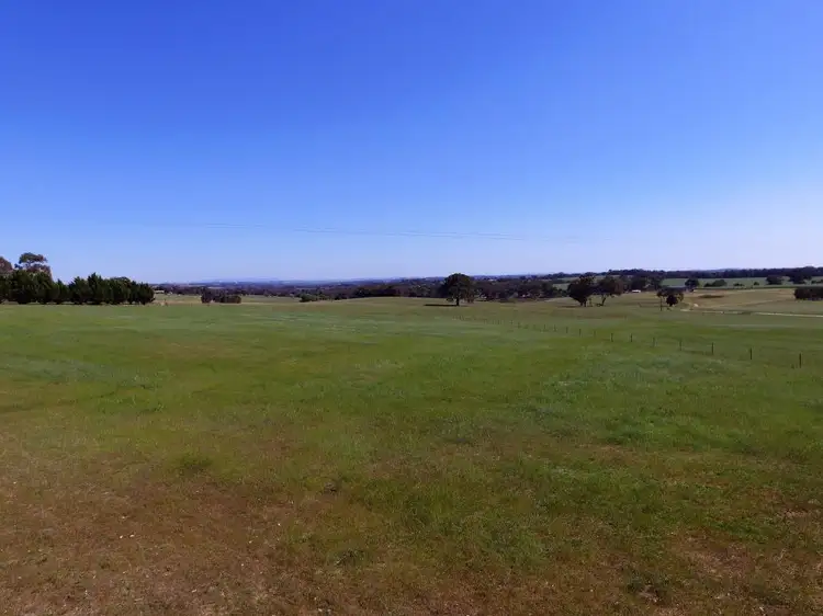 114 Boundary Road, Young NSW 2594