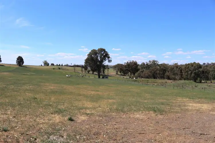 18 Jasprizza Lane, Young NSW 2594