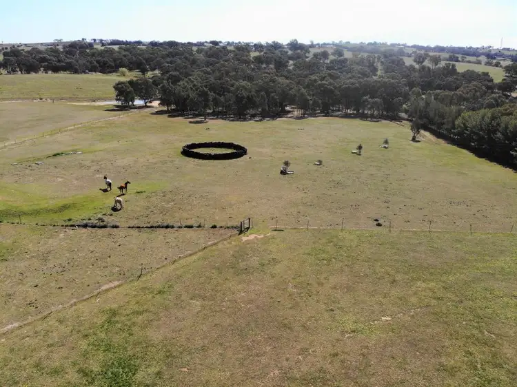 Fifth view of Homely house listing, 3820 Murringo Road, Young NSW 2594