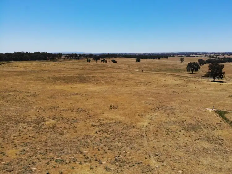 Sixth view of Homely land listing, 894 Kingsvale Road, Young NSW 2594