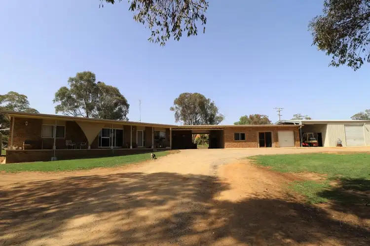 134 Pitstone Road, Young NSW 2594