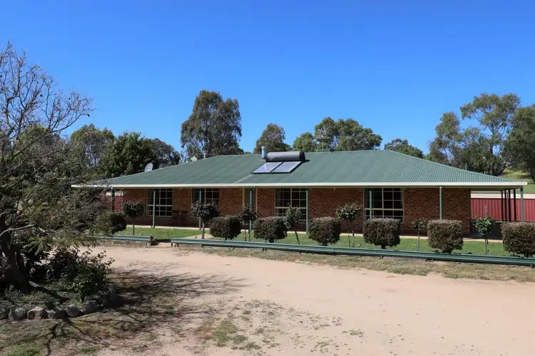 38 Byrne Close, Young NSW 2594