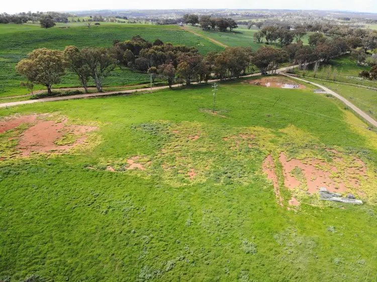 71 Noonans Road, Young NSW 2594