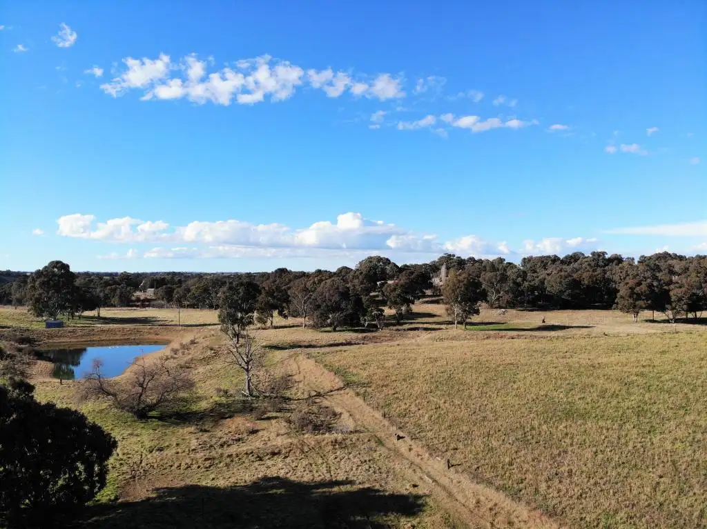 Main view of Homely land listing, 79 Race Creek Road, Young NSW 2594