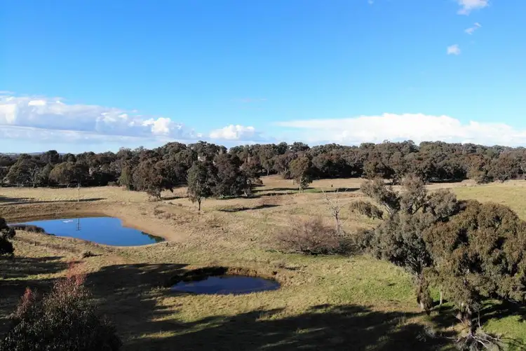 Fifth view of Homely land listing, 79 Race Creek Road, Young NSW 2594