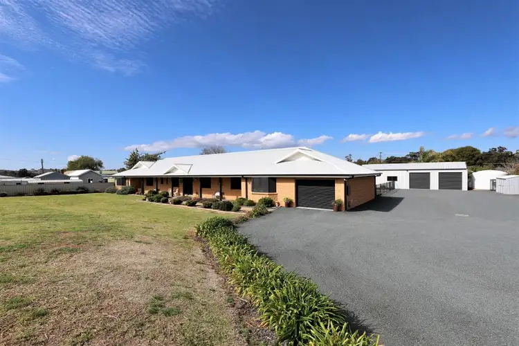 96 Wombat Street