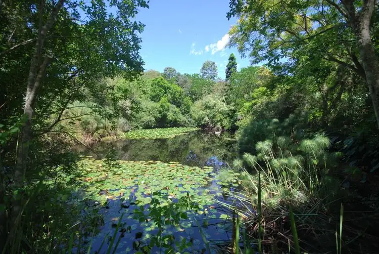 Second view of Homely rural property listing, 70 Dog Trap Road, Ourimbah NSW 2258