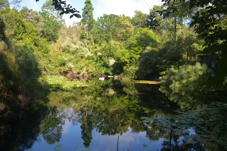Third view of Homely rural property listing, 70 Dog Trap Road, Ourimbah NSW 2258
