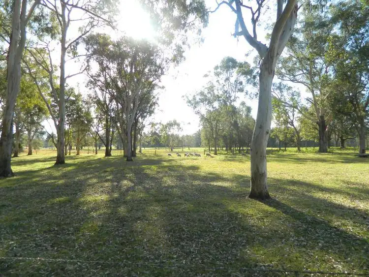 Seventh view of Homely rural property listing, 309 Elliotts Road, Nabiac NSW 2312