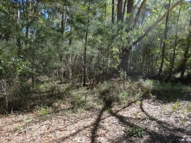 Main view of Homely land listing, 36 Pharlap Street, Russell Island QLD 4184