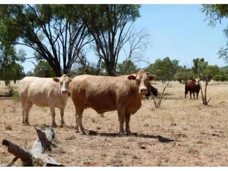 Third view of Homely rural property listing, Address available on request