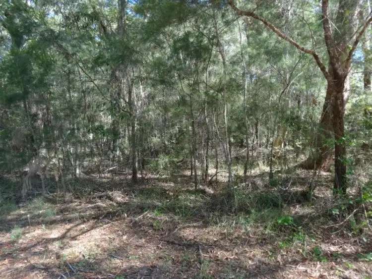 Second view of Homely land listing, 36 Pharlap Street, Russell Island QLD 4184