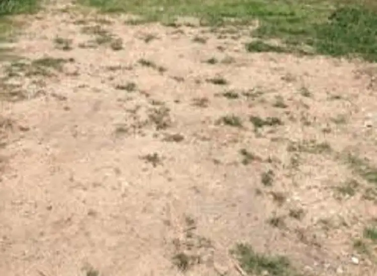 Third view of Homely land listing, 139 Henson Road, Salisbury QLD 4107