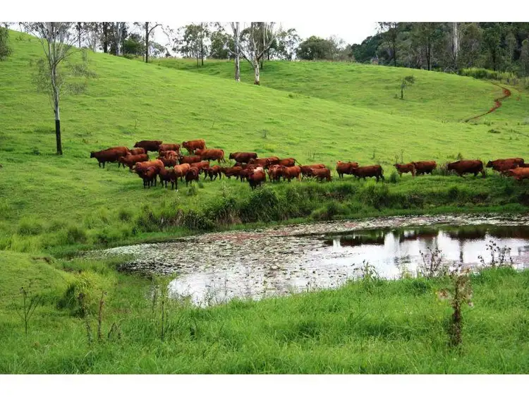 Third view of Homely rural property listing, Address available on request
