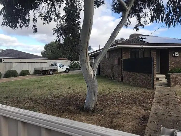 3 Bowey Way, Kulin WA 6365