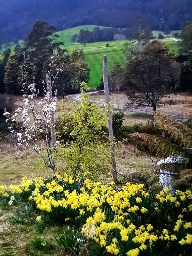 Second view of Homely house listing, 560 Maurice Road, Ringarooma TAS 7263