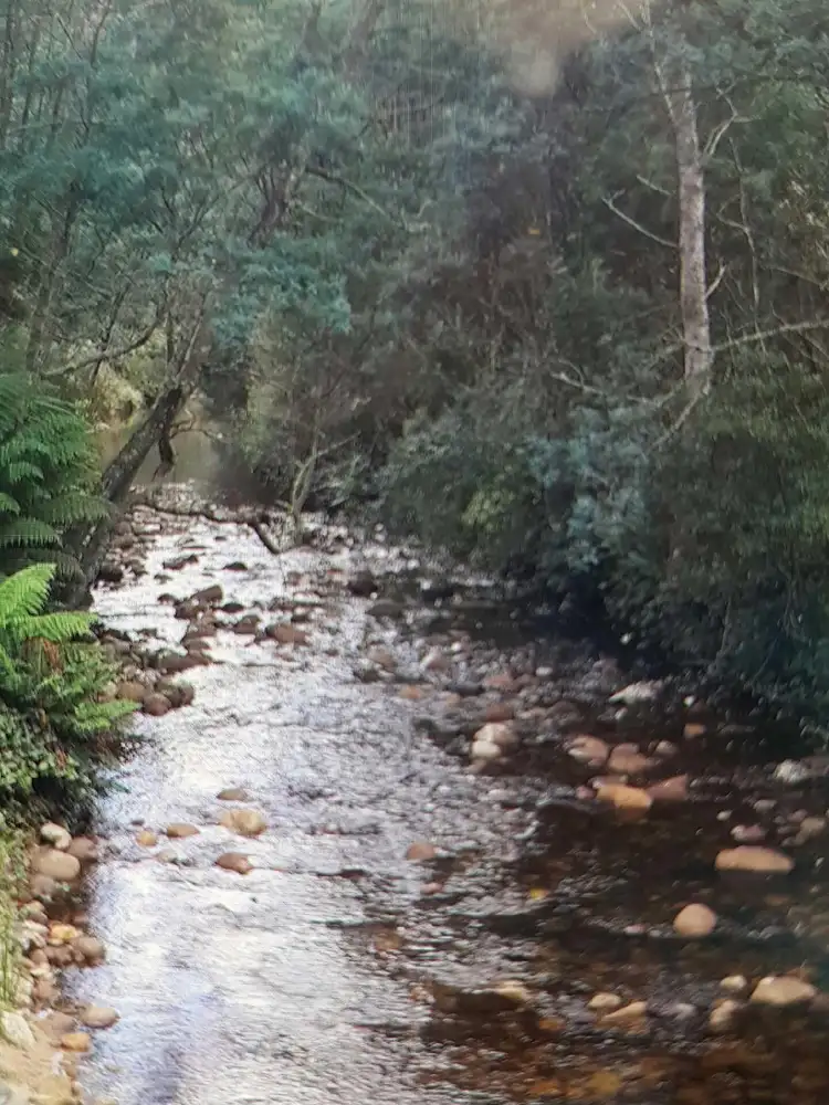 Seventh view of Homely house listing, 560 Maurice Road, Ringarooma TAS 7263
