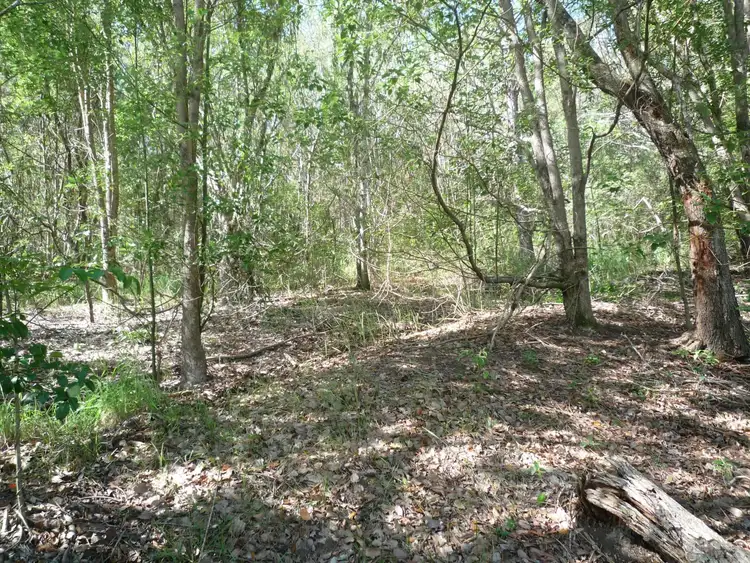 Fourth view of Homely land listing, 1227-1239 Yandina-Coolum Road, Maroochy River QLD 4561