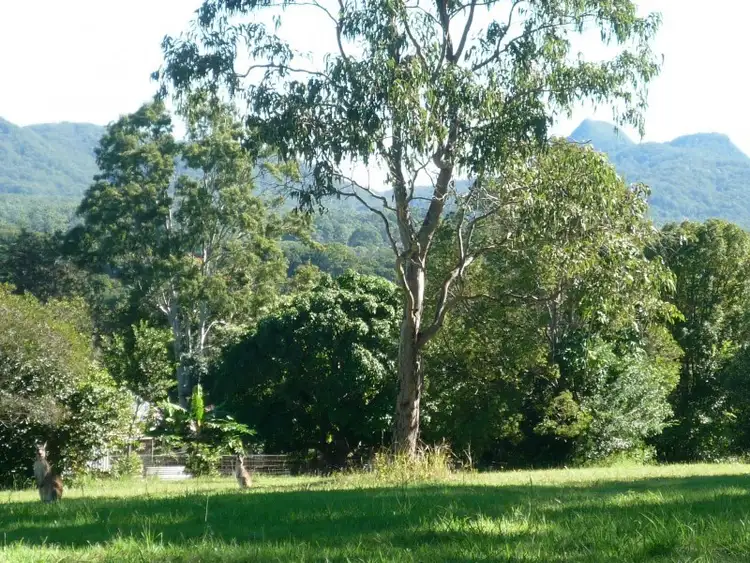 Third view of Homely land listing, 19, 60 Old Coach Way, Ninderry QLD 4561