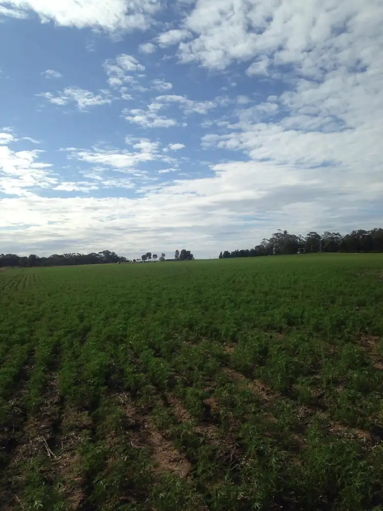 Fourth view of Homely land listing, 37 Patterson Road, Dimboola VIC 3414