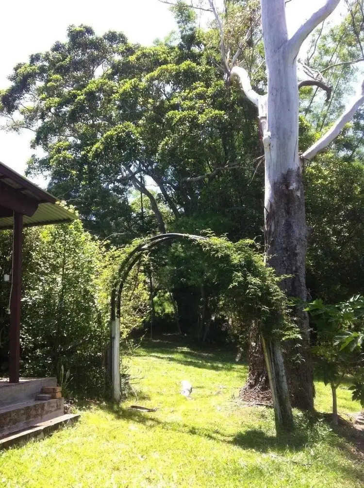 Seventh view of Homely rural property listing, 172 Crawfords Road, Black Mountain QLD 4563