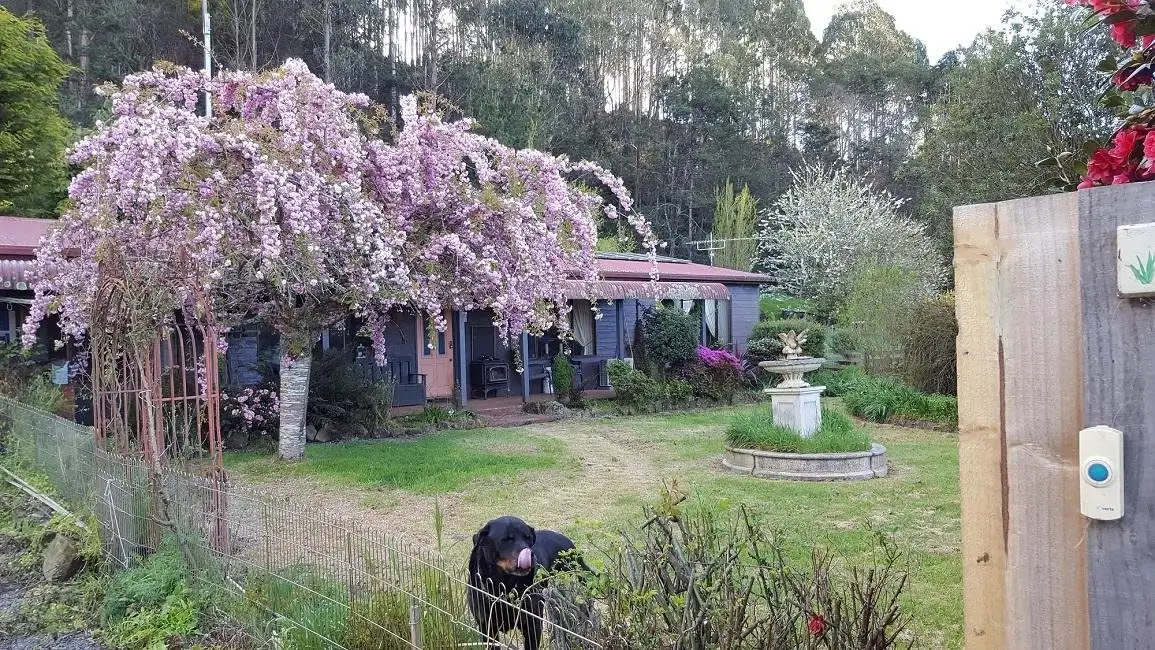 Main view of Homely house listing, 2884 Wilmot Road, Wilmot TAS 7310