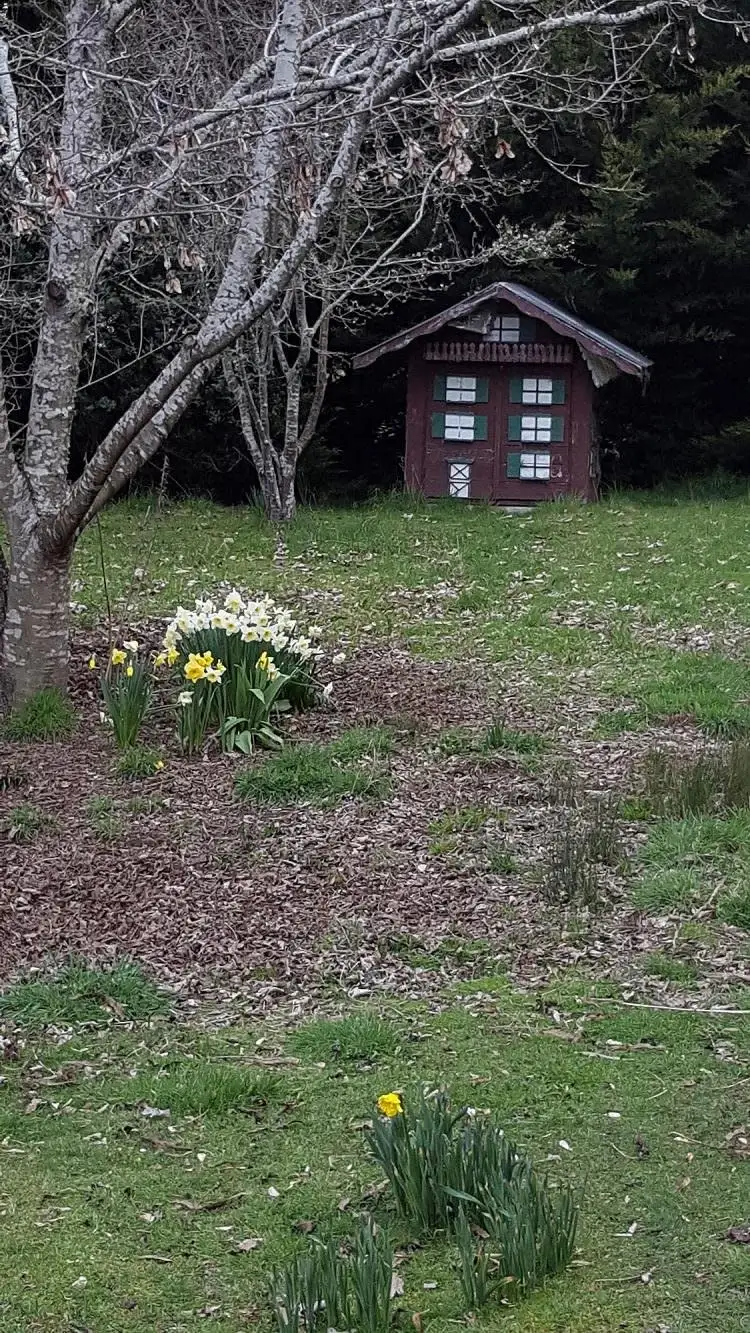 Fifth view of Homely house listing, 2884 Wilmot Road, Wilmot TAS 7310