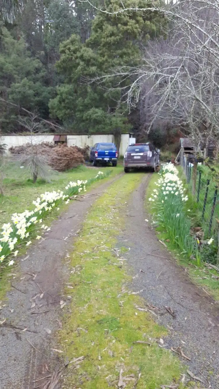 Sixth view of Homely house listing, 2884 Wilmot Road, Wilmot TAS 7310
