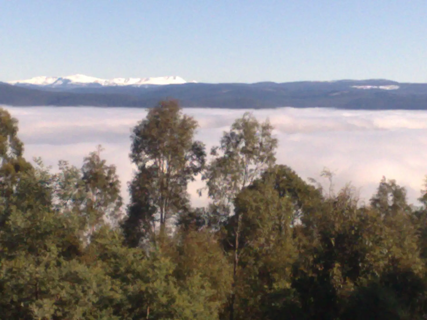 Main view of Homely house listing, 662 Back River Road, Magra TAS 7140